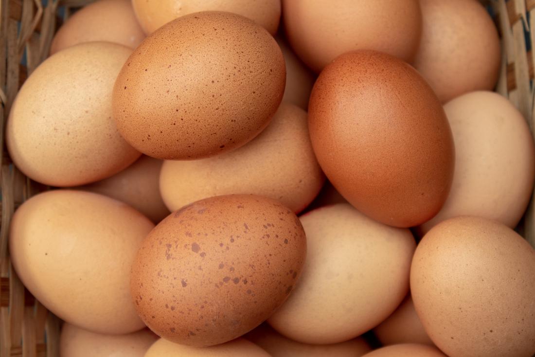 eggs